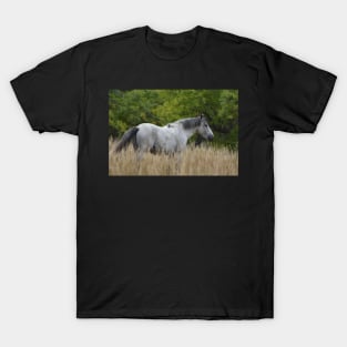 Wild Grey Horse T-Shirt